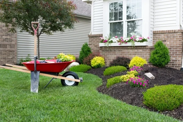 Jorge Landscaping & Lawn care's other services
