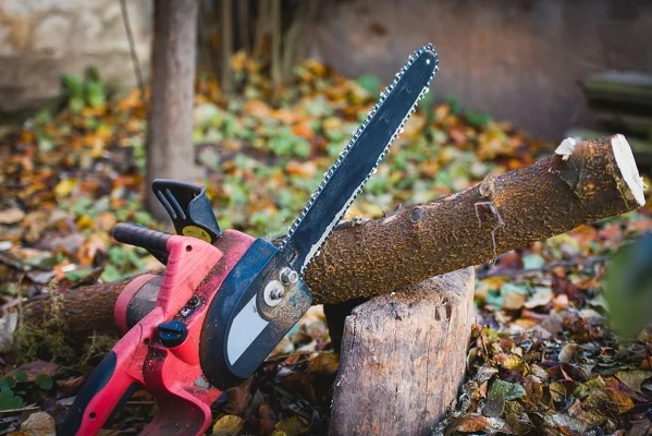 Tree Trimming Service