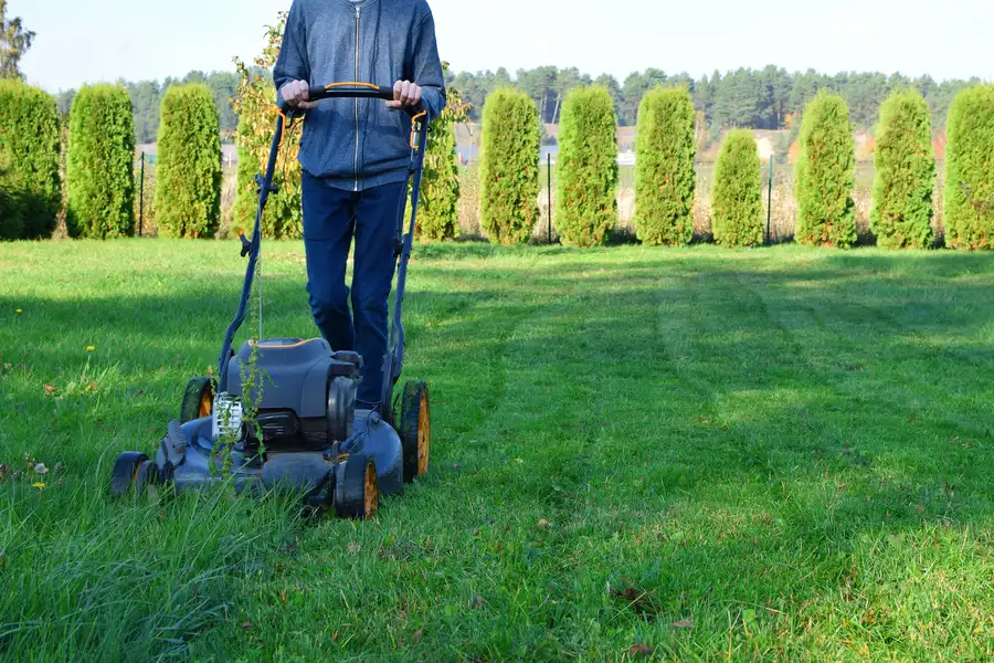 Common Lawn Mowing Mistakes To Avoid For A Healthier Lawn Greenville NC Common Lawn Mowing Mistakes To Avoid For A Healthier Lawn Greenville NC