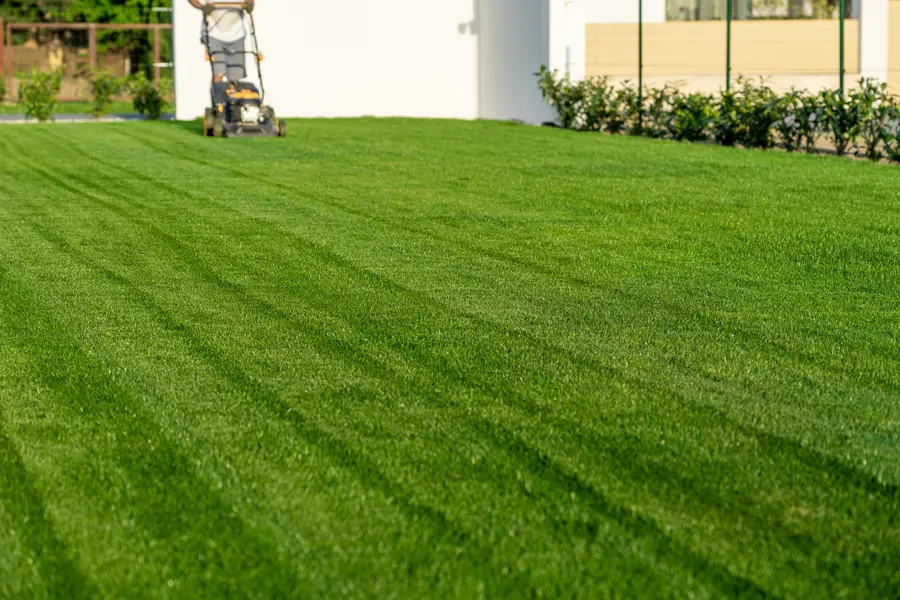 Common Lawn Mowing Mistakes To Avoid For A Healthier Lawn in Greenville NC Common Lawn Mowing Mistakes To Avoid For A Healthier Lawn in Greenville NC