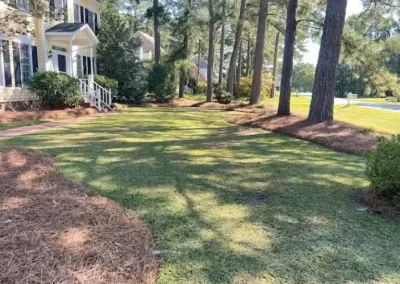 Competent Landscape Services in Greenville NC