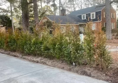 Consistent Landscape Services in Greenville NC