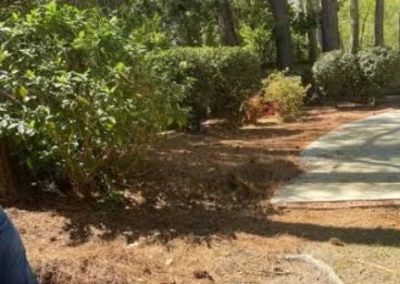 Experienced Landscape Services in Greenville NC