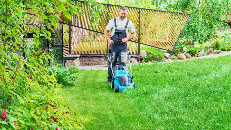Expert Lawn Mowing Services Greenville NC Expert Lawn Mowing Services Greenville NC