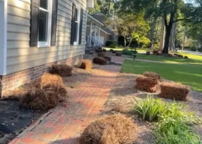 Extraordinary Landscape Services in Greenville NC