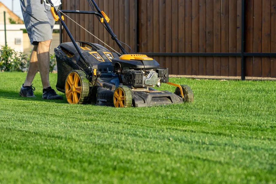 How Lawn Mowing Services Improve Your Lawn Health Greenville NC How Lawn Mowing Services Improve Your Lawn Health Greenville NC