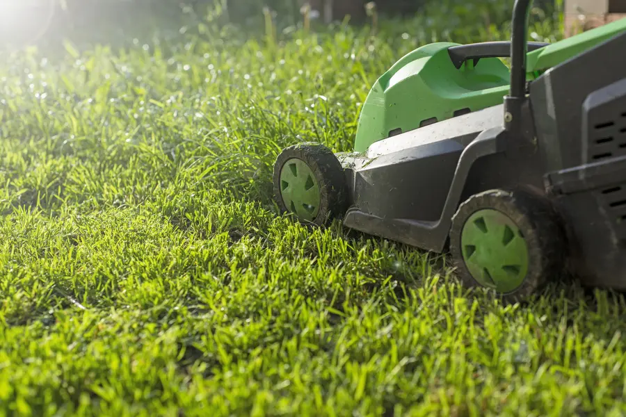 How Lawn Mowing Services Improve Your Lawn Health in Greenville NC How Lawn Mowing Services Improve Your Lawn Health in Greenville NC