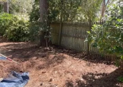 Impressive Landscape Services in Greenville NC