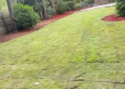 Landscape Contractor in Greenville NC