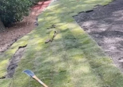 Landscaping Company in Greenville NC