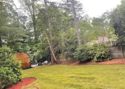 Outstanding Landscape Services in Greenville NC