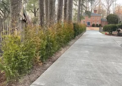 Preferred Landscape Services in Greenville NC