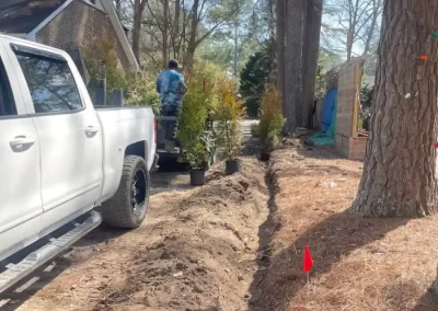 Professional Landscape Services in Greenville NC