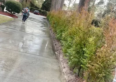 Reliable Landscape Services in Greenville NC