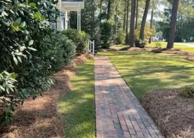 Reputable Landscape Services in Greenville NC