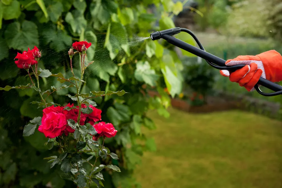 The Importance Of Seasonal Maintenance In Gardening Services Greenville NC The Importance Of Seasonal Maintenance In Gardening Services Greenville NC