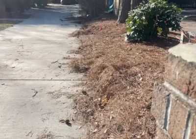 Trusted Landscape Services in Greenville NC